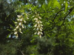 -鹫峰国家森林公园