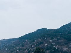 -北京西山国家森林公园