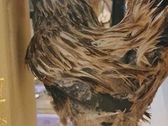 -俭寨大盘鸡·缸子肉·小公鸡·新疆菜(云通店)