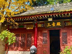 -少华山国家森林公园