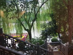 -莲湖公园