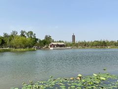 -西海子公园