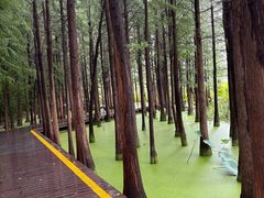 -云龙湖旅游景区