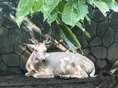 -成都动物园