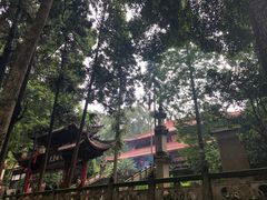 -都江堰普照寺