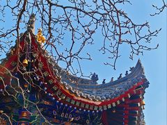 -西安市广仁寺