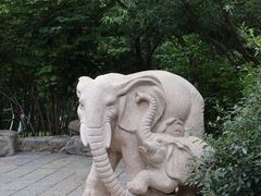 -千佛山风景名胜区