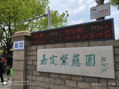 -嘉定紫藤园