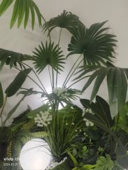 -HEYAN荷妍专业脱毛连锁机构