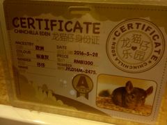 -龙猫仔乐园(惠福东路店)