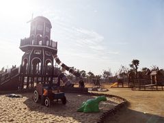 -上海长兴岛郊野公园