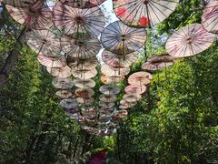 -天河潭旅游度假区