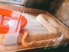 -合肥野生动物园