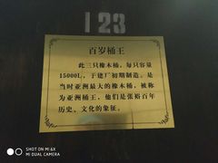 -青岛葡萄酒博物馆