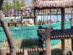 -西霞口神雕山野生动物世界