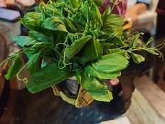 -慢丽江·云南野生菌土鸡锅(付家庄店)
