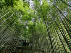 -祁门牯牛降观音堂风景区