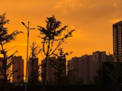 -大悦城(沈阳中街店)