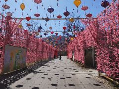 -北京凤凰岭