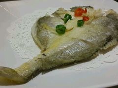 -九毛九西北菜(百信广场店)
