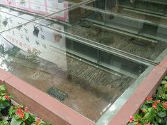 android_upload_pic-北京路步行街-千年古道遗址