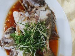 石斑-老字号蛇口德记烧腊饭店·海鲜加工