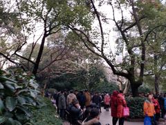 -人民公园-相亲角