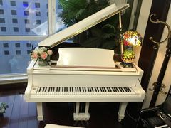 -圣典成人钢琴俱乐部(国贸旗舰校区)