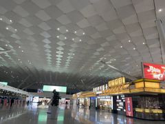 -郑州新郑国际机场-T2航站楼