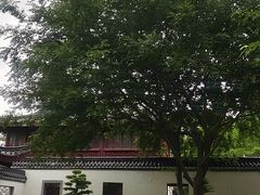 -堤角公园