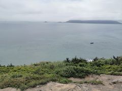 -阿军排档·烧烤