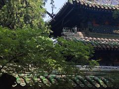 -北京国子监胡同