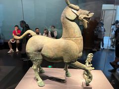 -广西壮族自治区博物馆