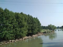 -九里河湿地公园