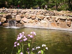 -石家庄市动物园