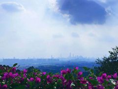 -火炉山森林公园