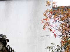 -上海影视乐园