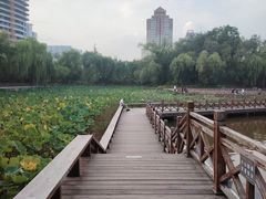 -迎泽公园