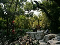 -晓港公园