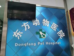 -东方动物医院·宠保定点·骨科·转诊中心(春城路·昆明站分院)