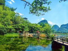 -靖西鹅泉风景区