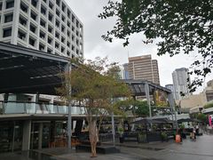 -布里斯班南岸公园
