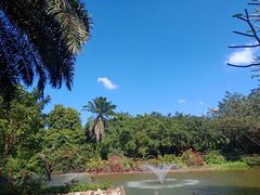 -海南热带野生动植物园