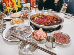 鲜毛肚-电台巷火锅(科华总店)