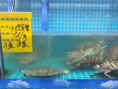 -坛南湾阿强农家乐.海鲜大排档老字号(福州地标美食店)