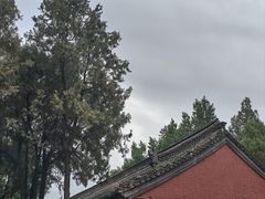 -洛阳白马寺