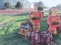 -石家庄市植物园