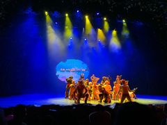 -厦门方特梦幻王国