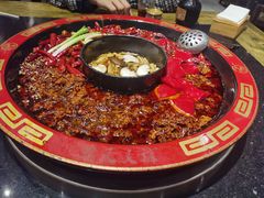 -叉叉裤鲜火锅(空港新城店)