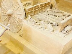 -洛阳周王城天子驾六博物馆